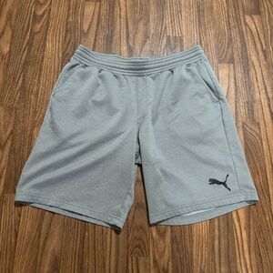 PUMA *Mens Casual / Training Shorts * Large * Like NEW